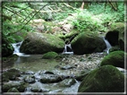 foto Lago del Corlo